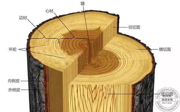  板材種類有哪些？如何判斷板材好壞？